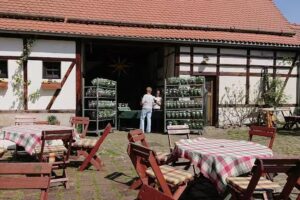 Weinhof Marienthal