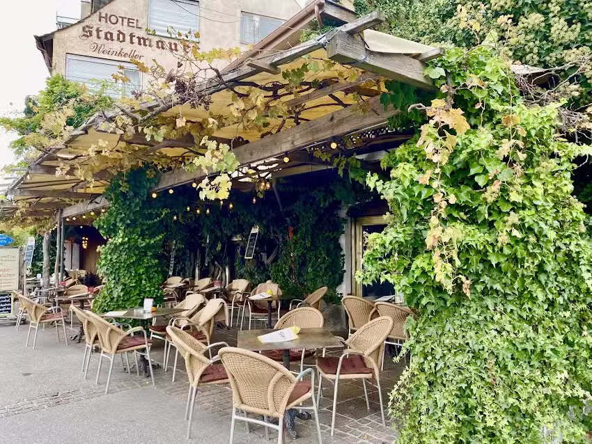 Weinkeller Stadtmauer