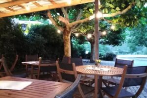 Weinlaube unter den Platanen