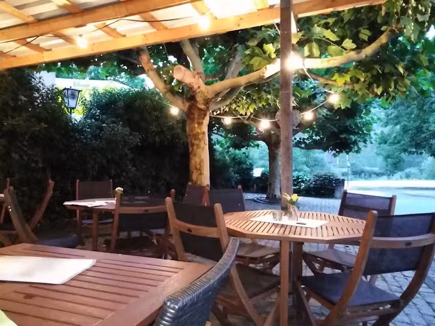 Weinlaube unter den Platanen