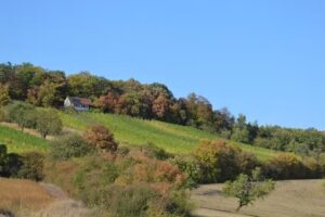 Weinmanufaktur R&S Düll