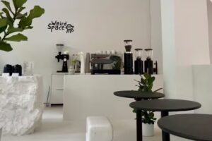 Weird Space Café Friedrichstadt