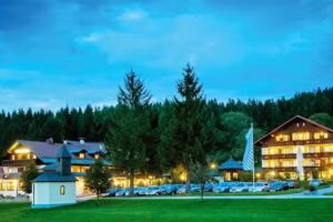 Wellness- & Vitalhotel Böhmhof