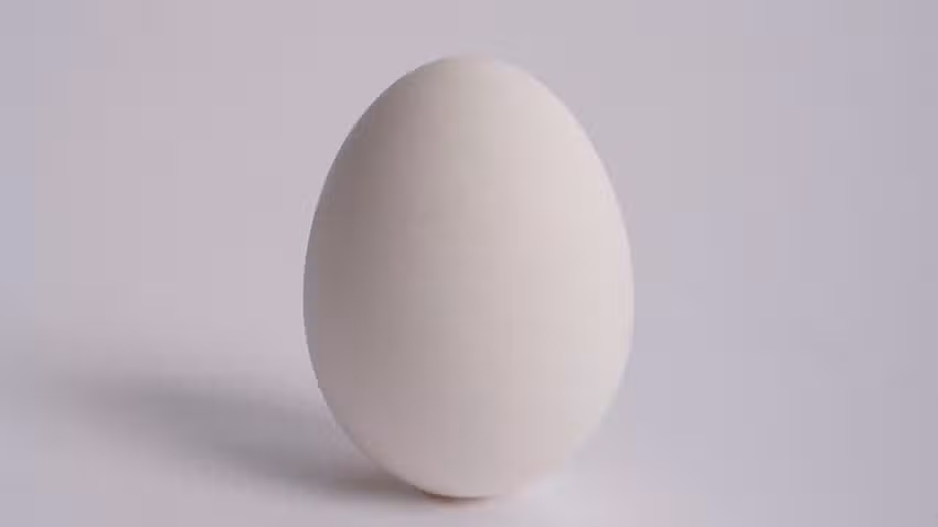Weltbeste R&uuml;hreik&uuml;che 🥚