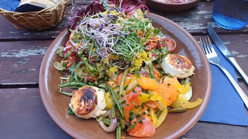 Welz Gastro GmbH