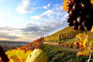 whatsalb – der Gastro Blog für die Mittlere Schwäbische Alb