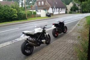 Wilde Rose Inh. Heide-Lore Weidling