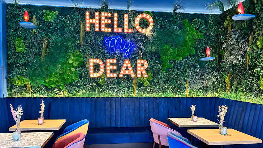 Wilma Wunder N&uuml;rnberg