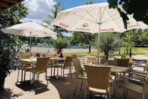 Zeytoun – Die Olive
