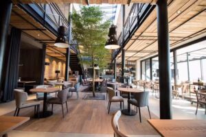 Ziegler’s BACKloft