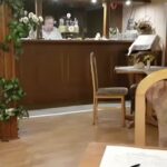 Zum Hirsch