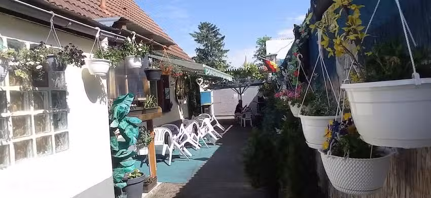 Zum L&ouml;wen Panagiotis Tzantaridis