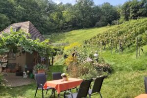 Zum Winzerschoppen