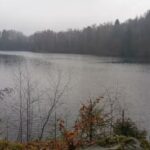 Zur alten Eiche