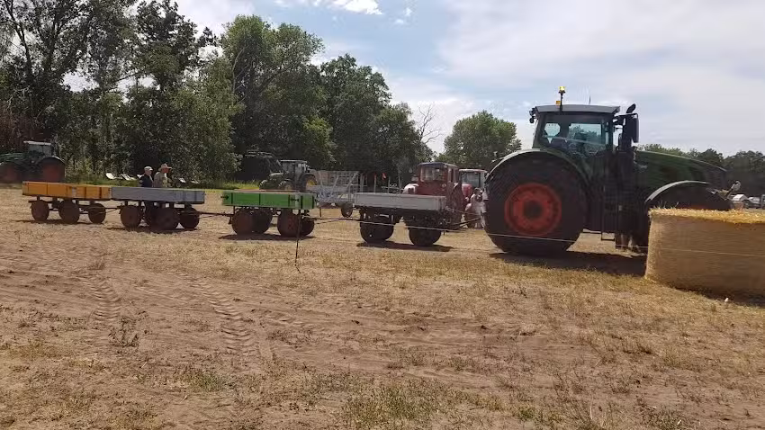 Zur Friedenseiche Susigke