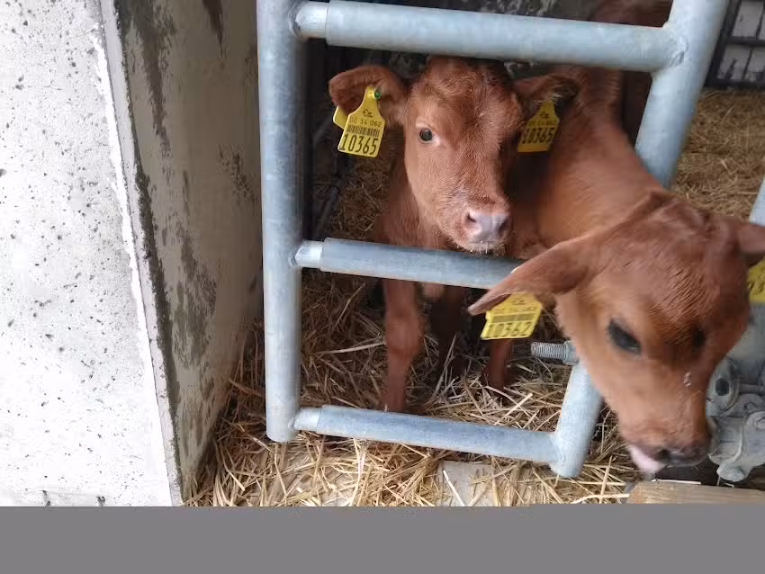 Zw&ouml;nitzer Agrargenosseschaft eG